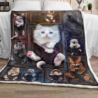 Eva Angora Cat Blanket Trending Gift For Cat Lovers
