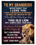 Lion Papa Hopes Grandkid To Believe In Himself Fleece Blanket