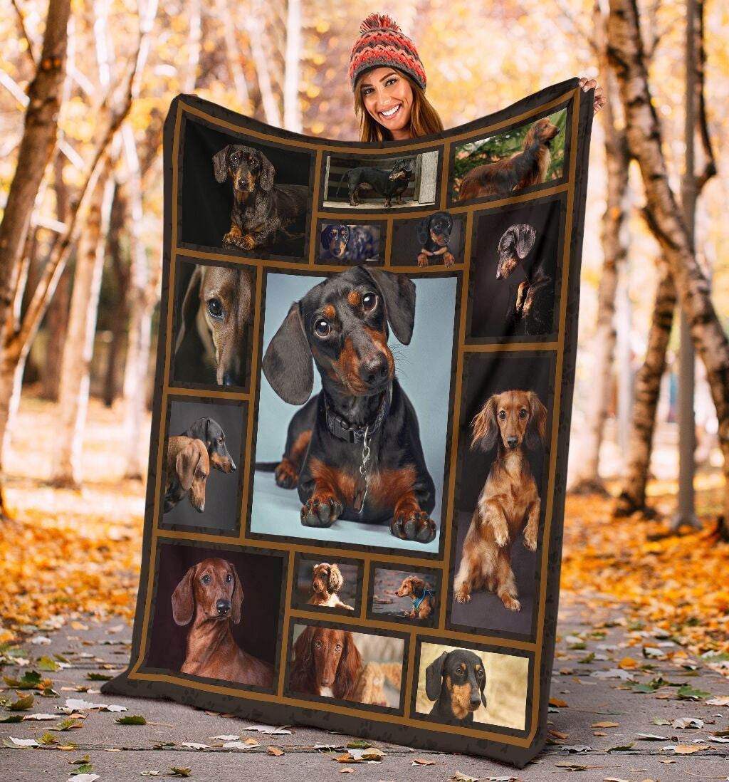 3d Dachshund For Dog Lovers Fleece Blanket