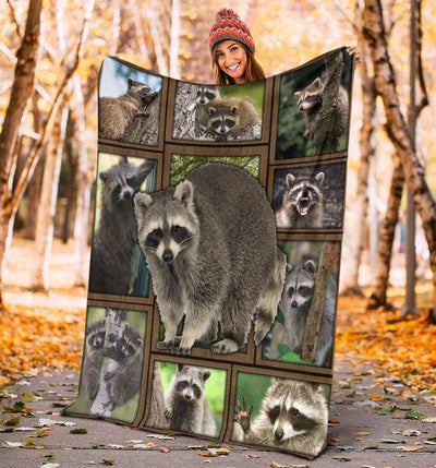 3d Funny Raccoon Gift For Raccoon Lovers Fleece Blanket