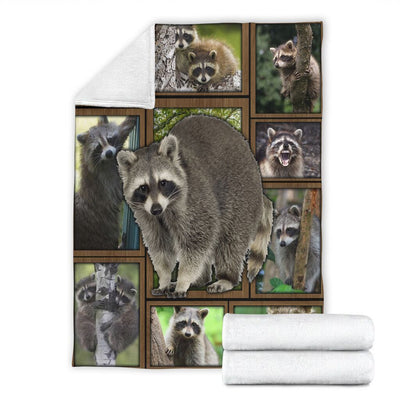 3d Funny Raccoon Gift For Raccoon Lovers Fleece Blanket