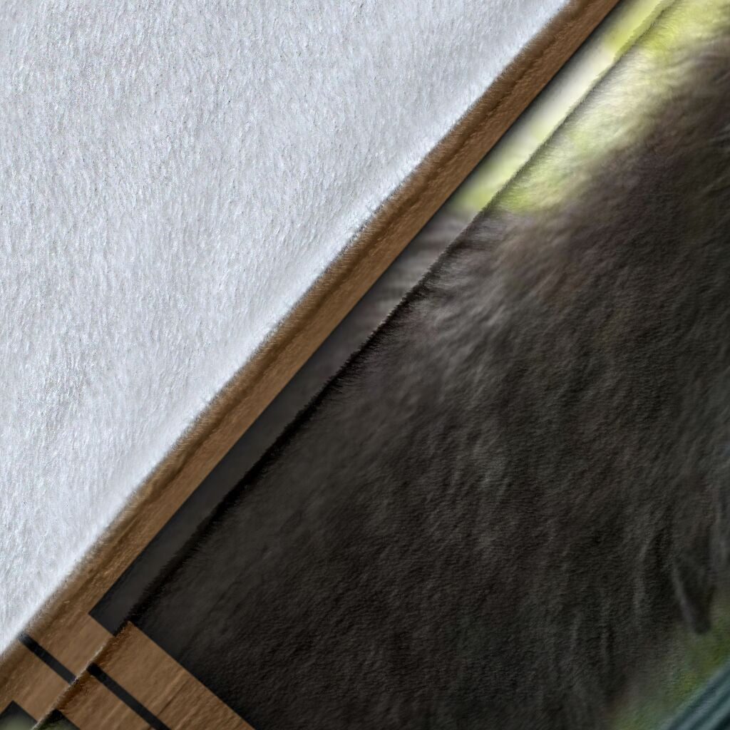 3d Funny Raccoon Gift For Raccoon Lovers Fleece Blanket