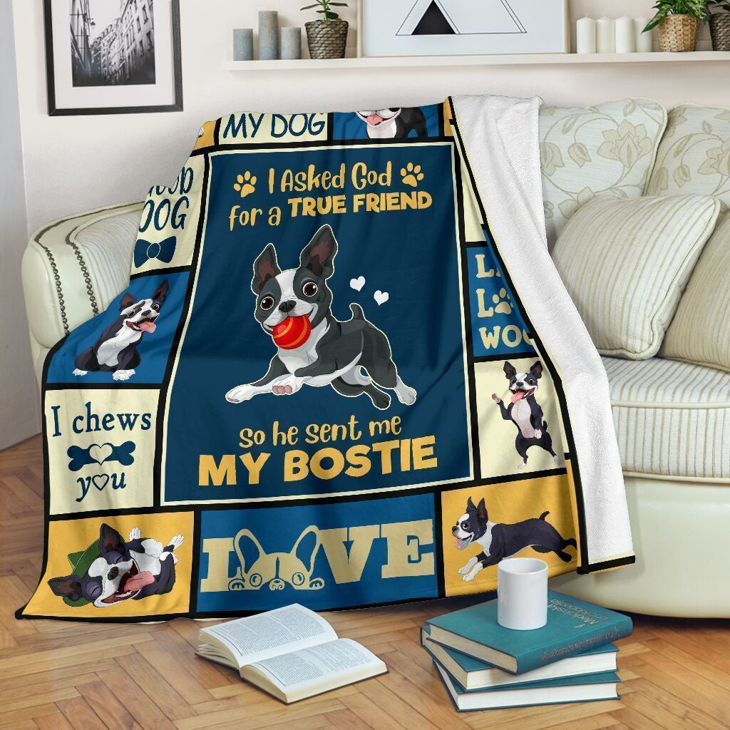 I Asked God For A True Friend Boston Terrier Soft Fleece Blanket