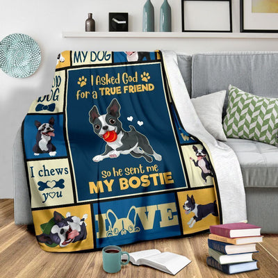 I Asked God For A True Friend Boston Terrier Soft Fleece Blanket
