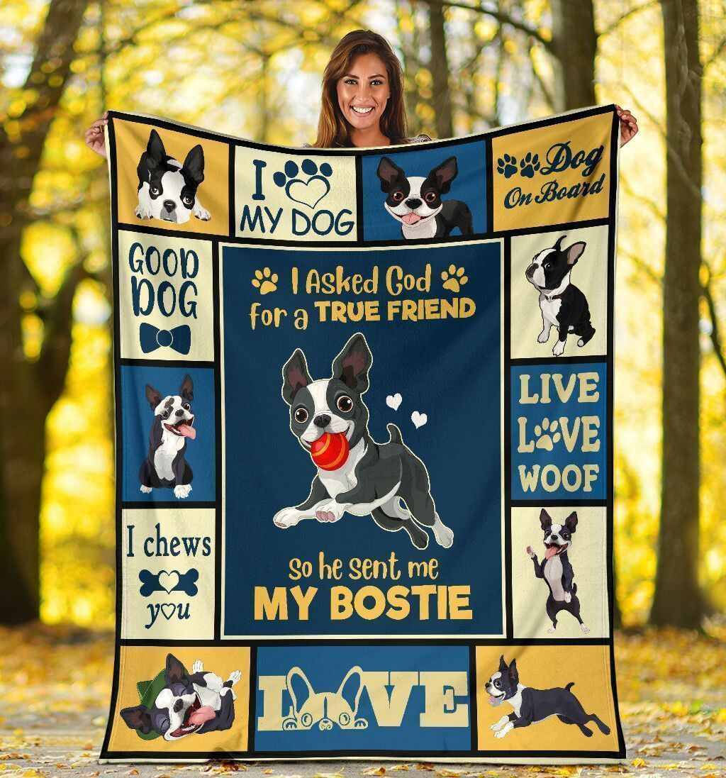 I Asked God For A True Friend Boston Terrier Soft Fleece Blanket