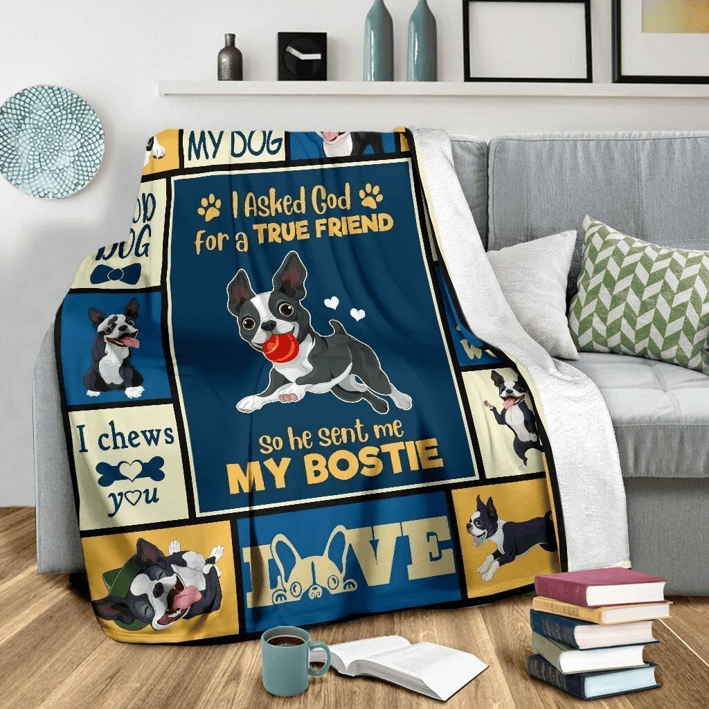 I Asked God For A True Friend Boston Terrier Soft Fleece Blanket
