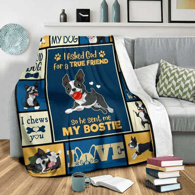 I Asked God For A True Friend Boston Terrier Soft Fleece Blanket