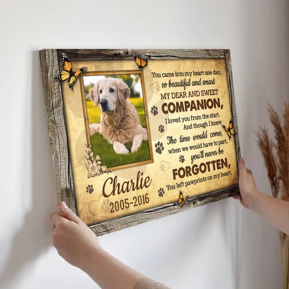 Personalized Photo Canvas Prints, Choose Quote Dog Loss Gifts, Pet Memorial Gifts, Dog Sympathy, You Left Pawprints On My Heart Canvas