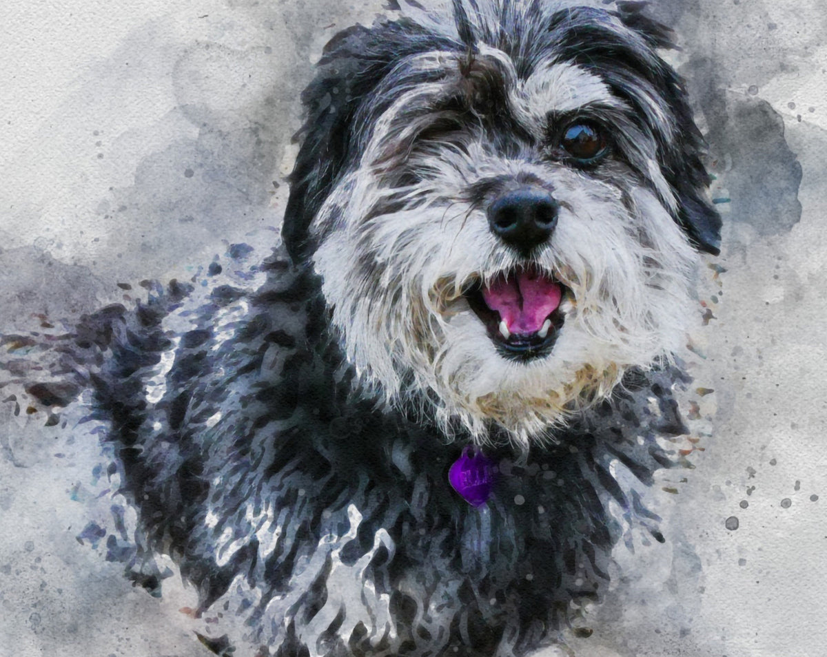 Personalised Pet Portrait,Pet Illustration, Watercolour Pet Portrait Painting, Custom Dog Portrait Drawing, Pet Memorial Gift, Pet Loss_Art