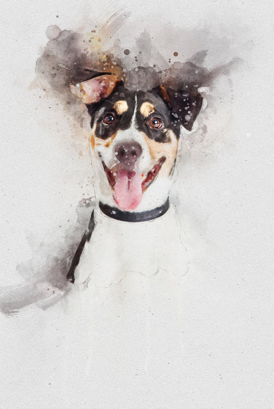 Personalized Memorial Pet Portrait, Digital File Angel Wings And Halo Pet Loss Dog Cat Painting Printable Custom Unique Thoughtful Gift_Art