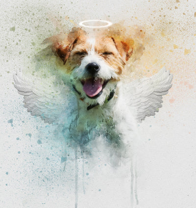 Personalized Memorial Pet Portrait, Digital File Angel Wings And Halo Pet Loss Dog Cat Painting Printable Custom Unique Thoughtful Gift_Art