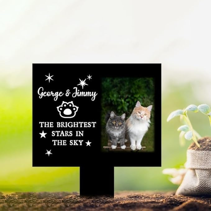 Custom Cat Photo The Brightest Stars In The Sky Pet Grave Marker Garden Stakes Pet Memorial Gift Custom Metal Signs