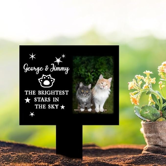 Custom Cat Photo The Brightest Stars In The Sky Pet Grave Marker Garden Stakes Pet Memorial Gift Custom Metal Signs