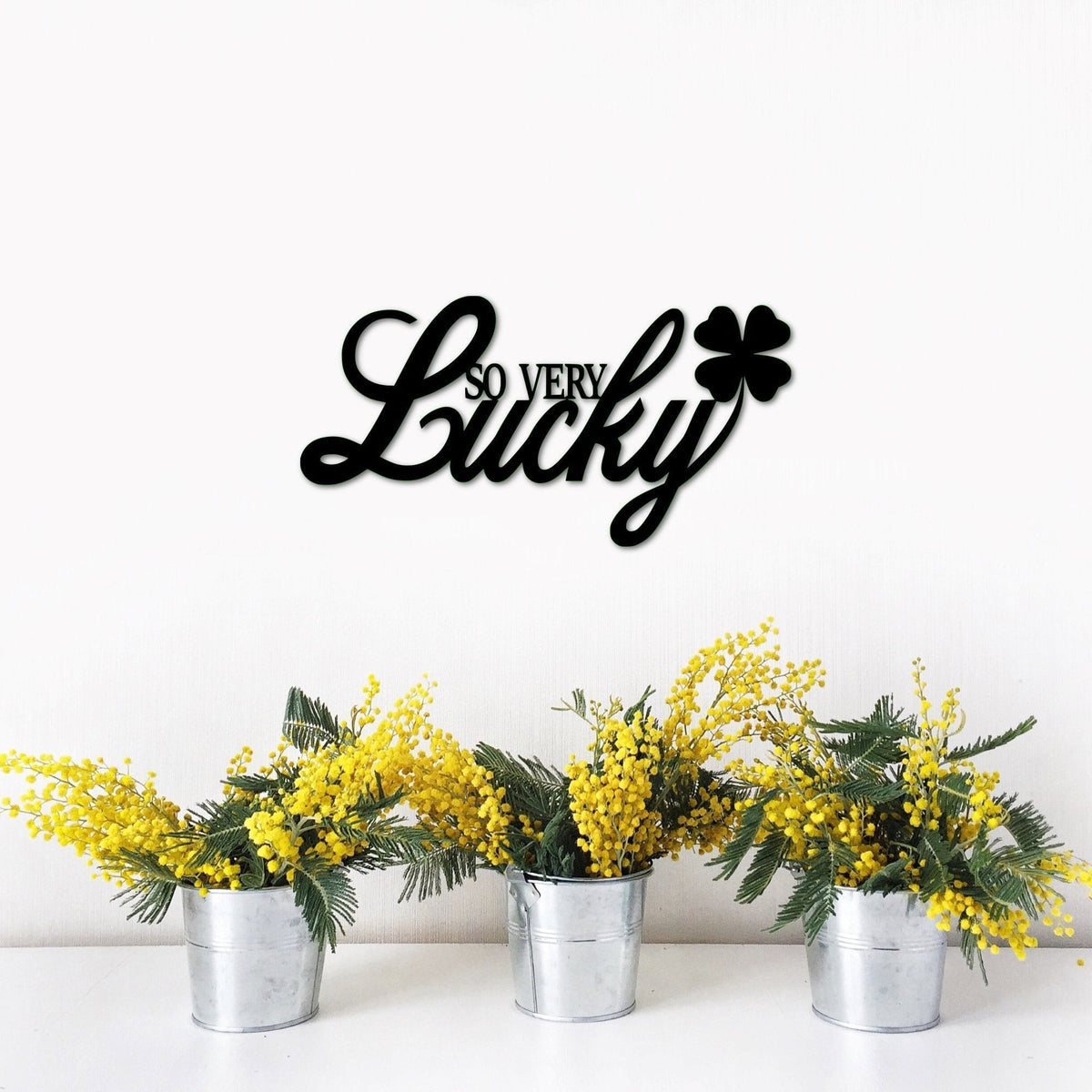 So Very Lucky Sign Metal Wall Decor Shamrock Lucky Word Art Metal Wall Words St. Patrick's Day Irish Family Gallery Wall Decor