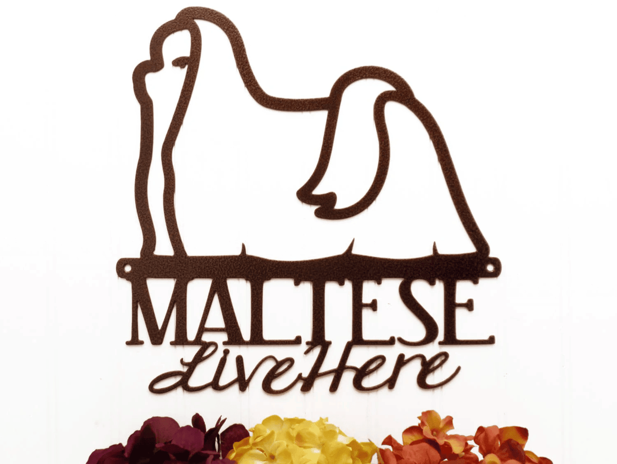 Maltese Live Here Metal Sign - Copper Maltese Dog Sign Wall Art Metal Wall Art Signage Metal Dogs Wall Decor