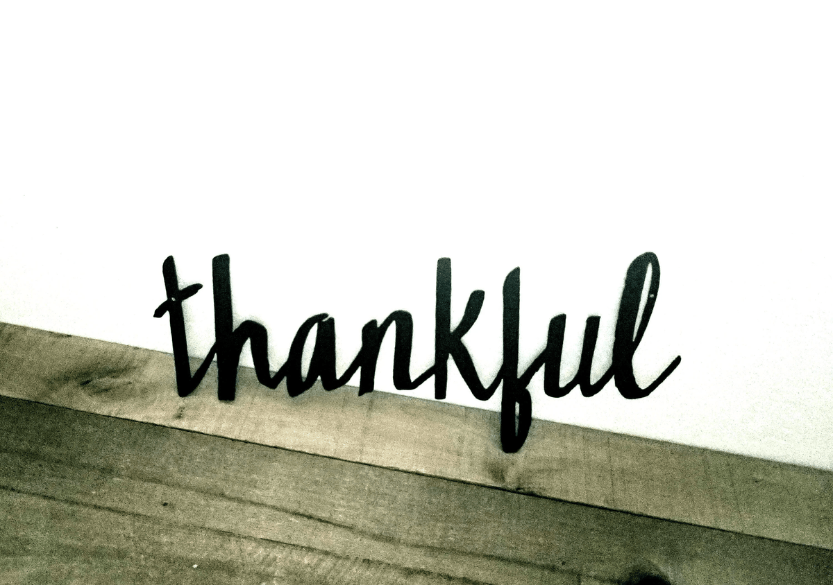 Metal Thankful Sign Script Font Cutout Metal Wall Art Rustic Thanksgiving Decor Sign For Fall Cursive Word For The Wall