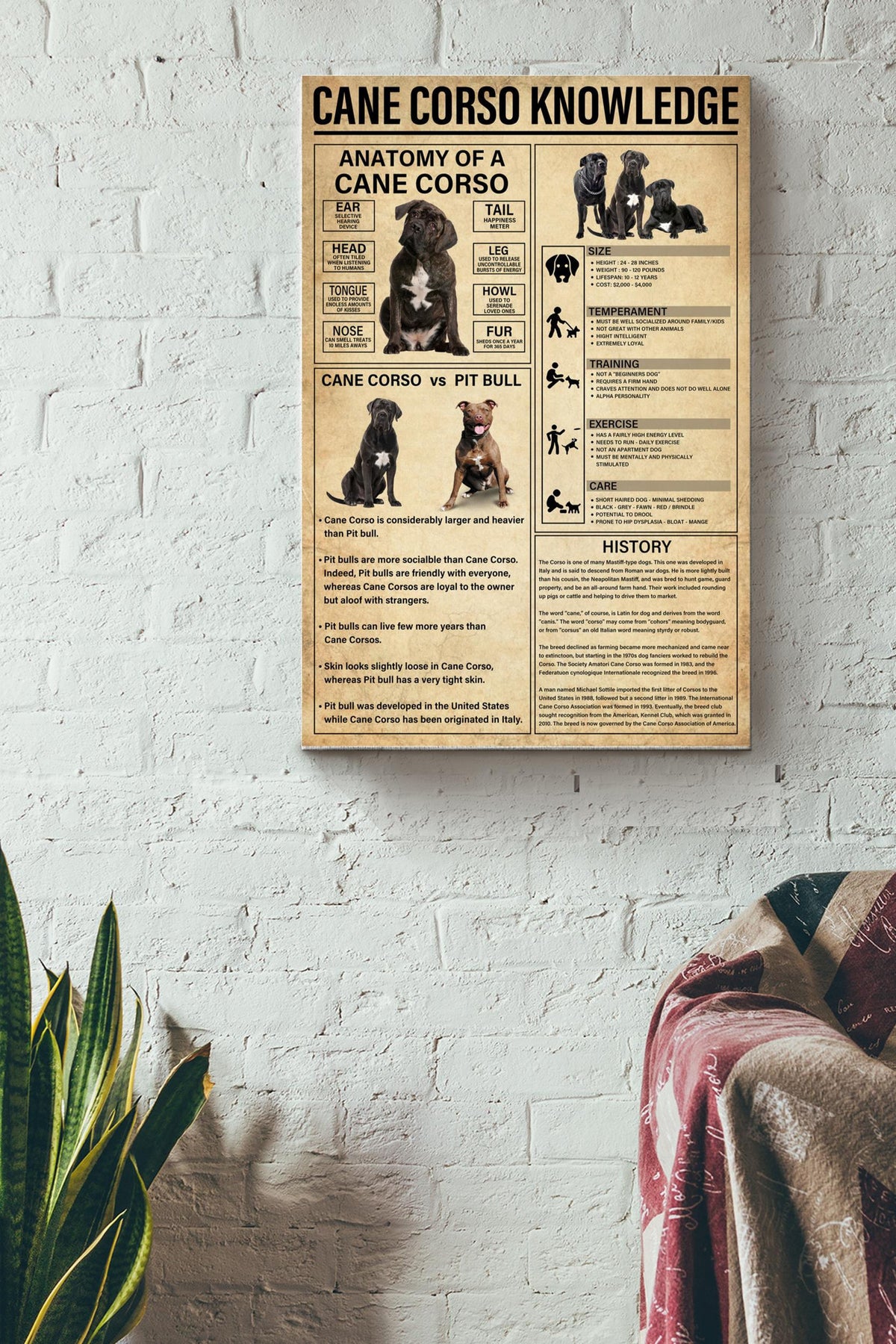 Cane Corso Knowledge Basic Information Poster - Animal Knowledge Wall Art - Gift For Dog Lover Dog Owner Biologist Canvas Gallery Wrapped Canvas Framed Gift Idea Framed Prints, Canvas