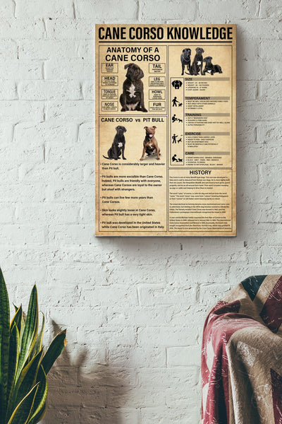 Cane Corso Knowledge Basic Information Poster - Animal Knowledge Wall Art - Gift For Dog Lover Dog Owner Biologist Canvas Gallery Wrapped Canvas Framed Gift Idea Framed Prints, Canvas