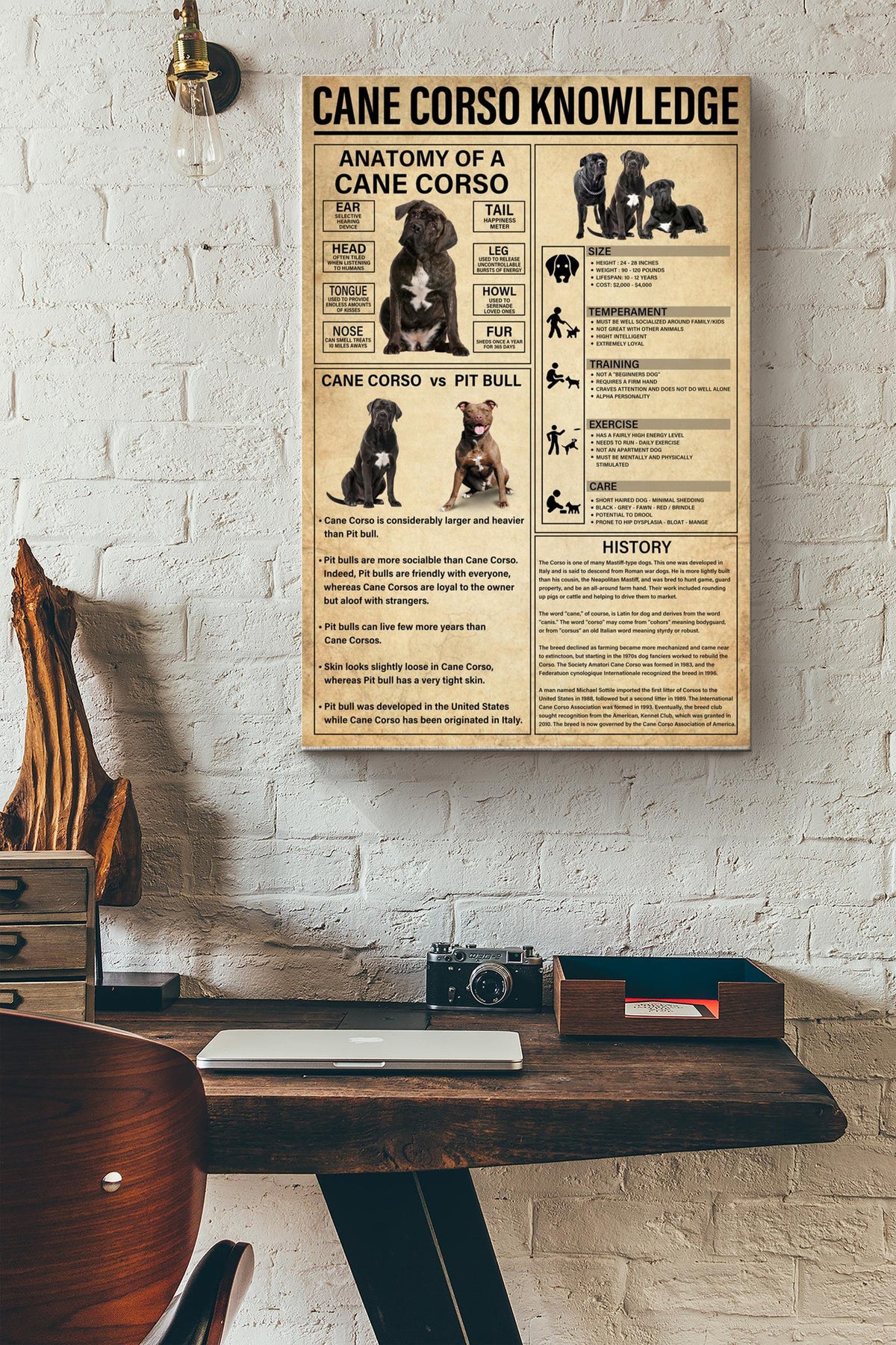 Cane Corso Knowledge Basic Information Poster - Animal Knowledge Wall Art - Gift For Dog Lover Dog Owner Biologist Canvas Gallery Wrapped Canvas Framed Gift Idea Framed Prints, Canvas