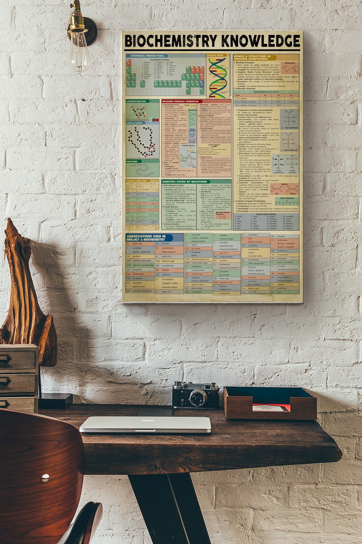 Biochemistry Knowledge Basic Information Poster - Chemical Wall Art - Gift For Scientist Biochemical Chemist Canvas Gallery Wrapped Canvas Framed Gift Idea Framed Prints, Canvas