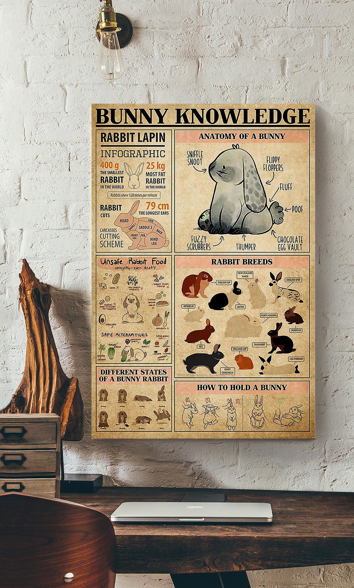 Bunny Cute Facts Animal Knowledge Wall Art For Homeschool Nusery Kids Bedroom Decor Canvas Framed Prints, Canvas