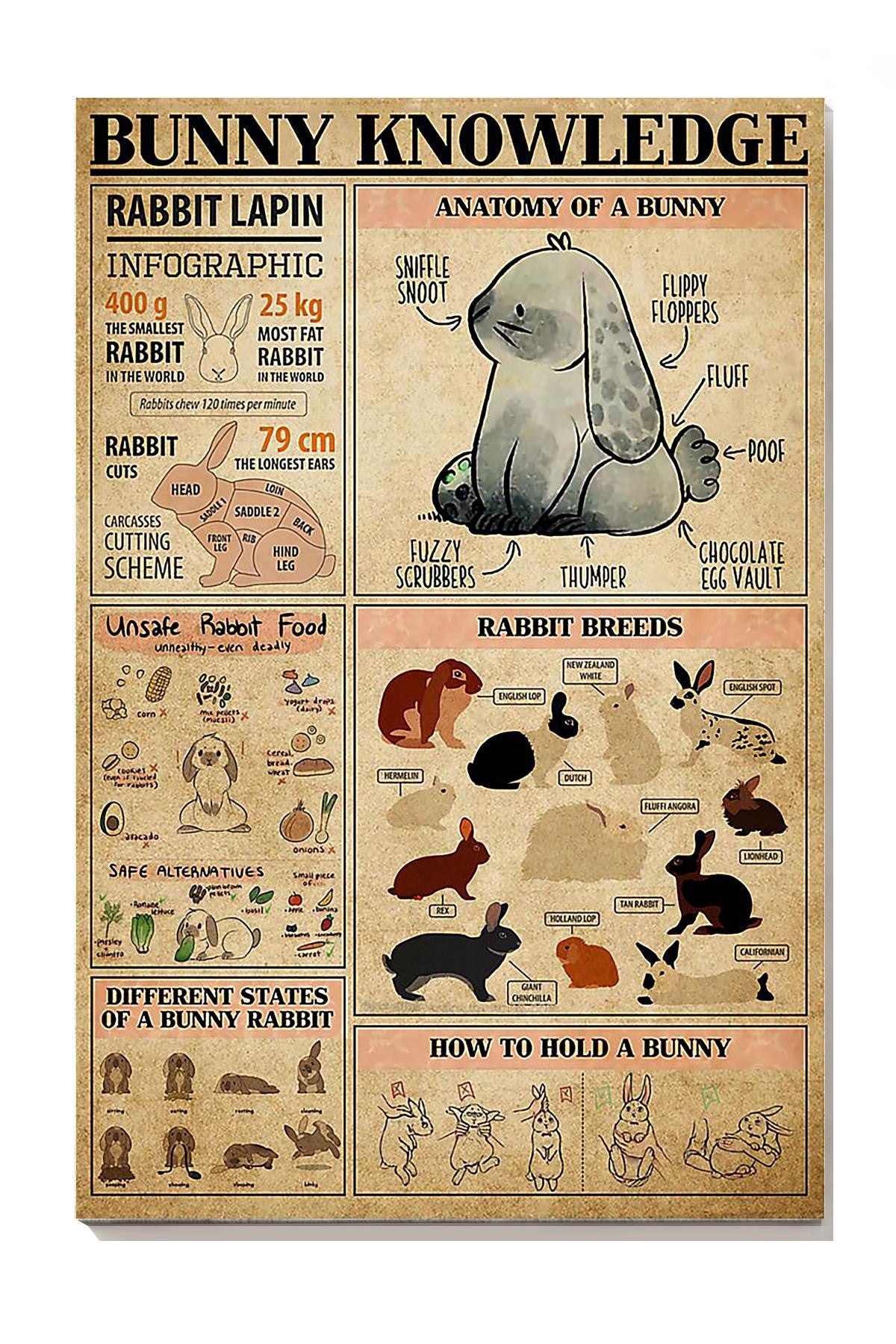 Bunny Cute Facts Animal Knowledge Wall Art For Homeschool Nusery Kids Bedroom Decor Canvas Framed Prints, Canvas