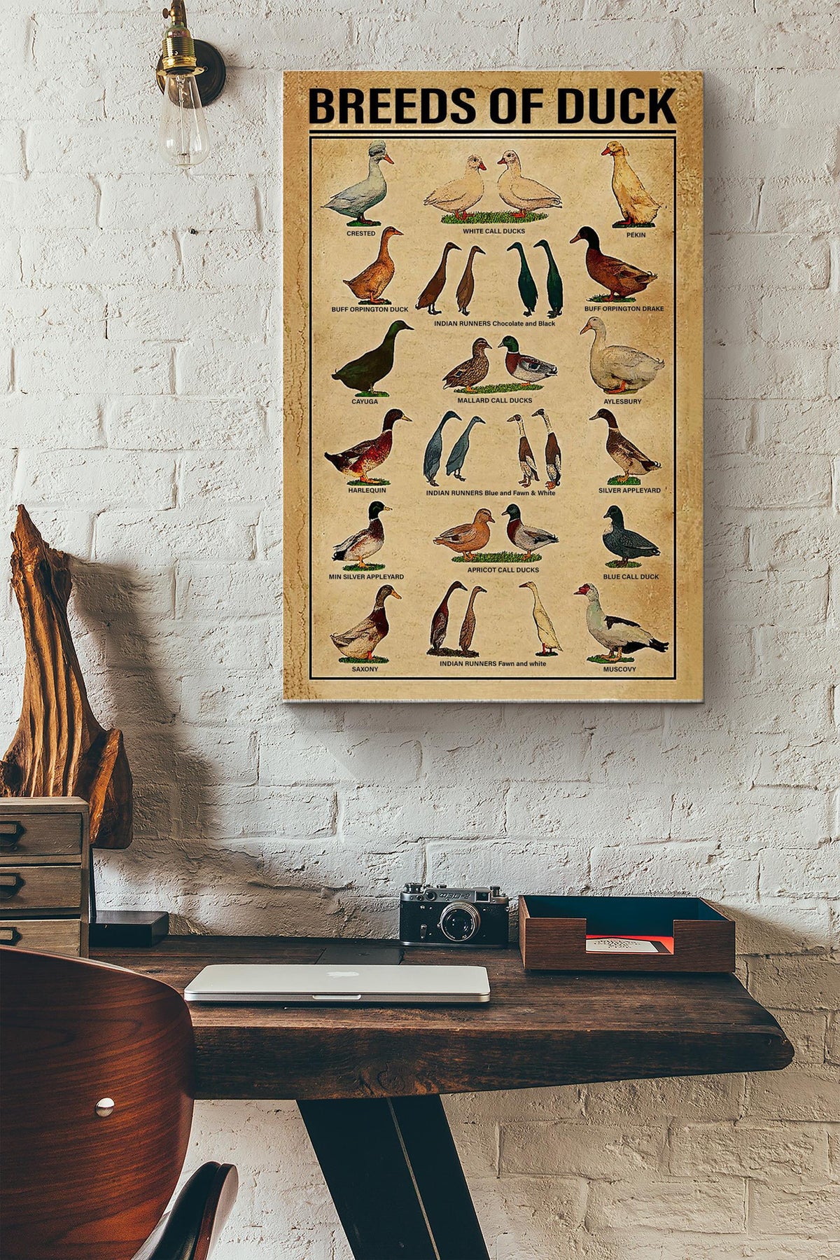 Breeds Of Duck Print Canvas Wall Art Poster House Sign Anniversary Birthday Christmas Housewarming Gift Home Canvas Gallery Wrapped Canvas Framed Gift Idea Framed Prints, Canvas
