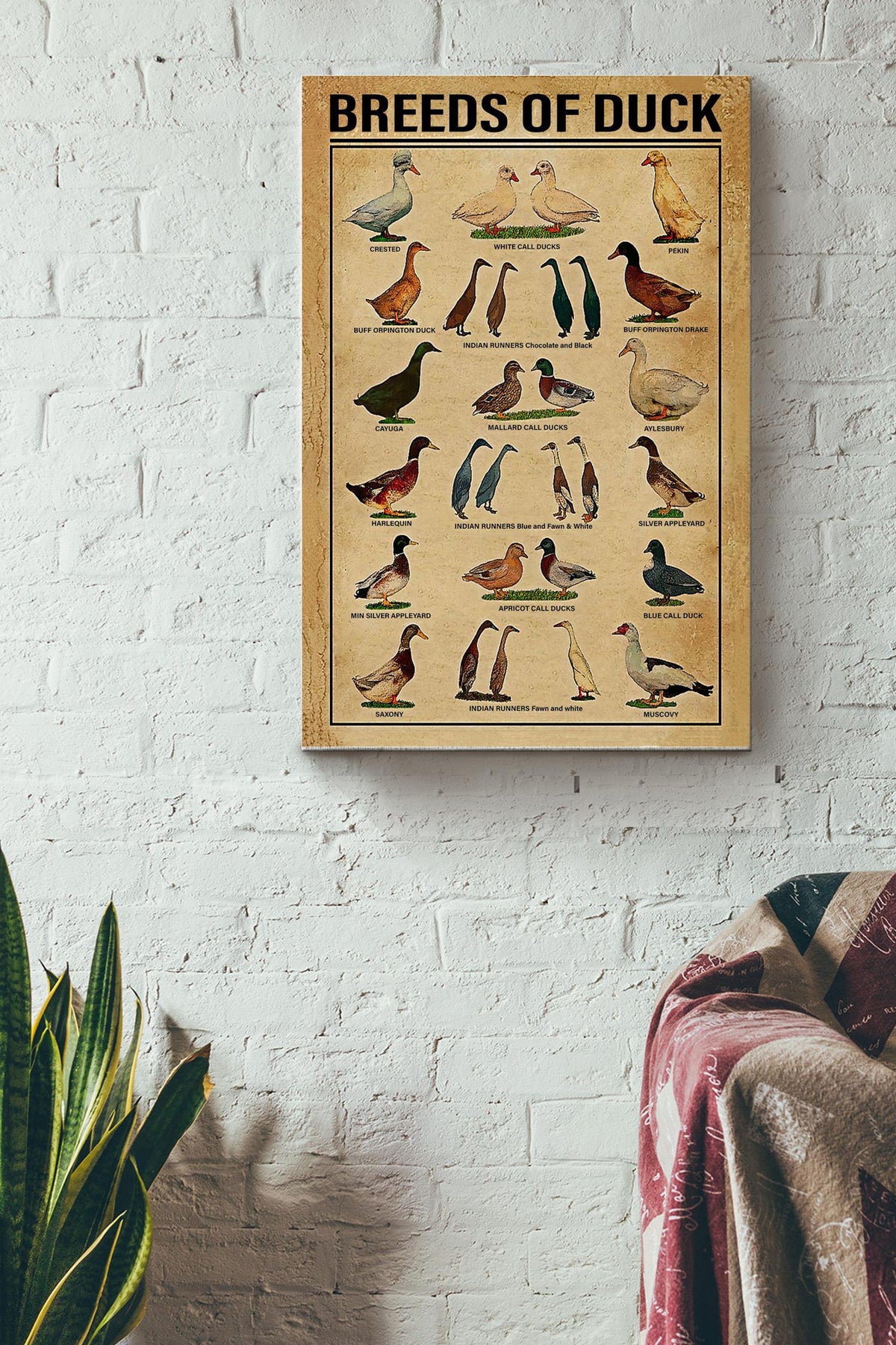 Breeds Of Duck Print Canvas Wall Art Poster House Sign Anniversary Birthday Christmas Housewarming Gift Home Canvas Gallery Wrapped Canvas Framed Gift Idea Framed Prints, Canvas