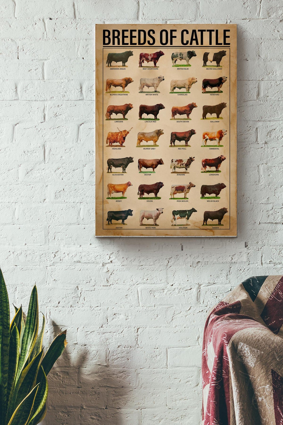Breeds Of Cattle Print Canvas Wall Art Poster Anniversary Birthday Christmas Housewarming Gift Home Canvas Gallery Wrapped Canvas Framed Gift Idea Framed Prints, Canvas