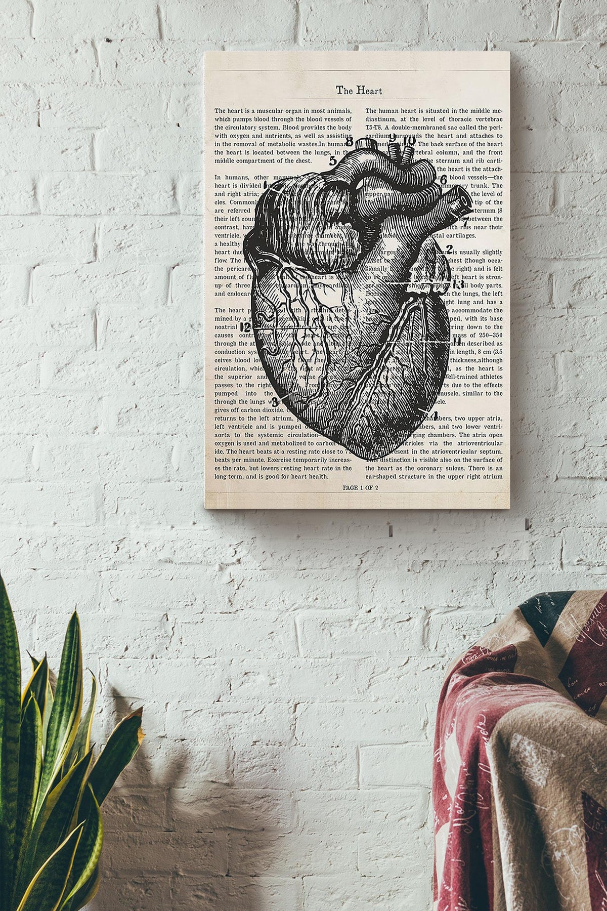 Cardiologist Flower Heart Collection Poster Canvas