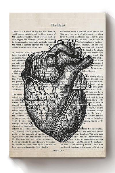 Cardiologist Flower Heart Collection Poster Canvas