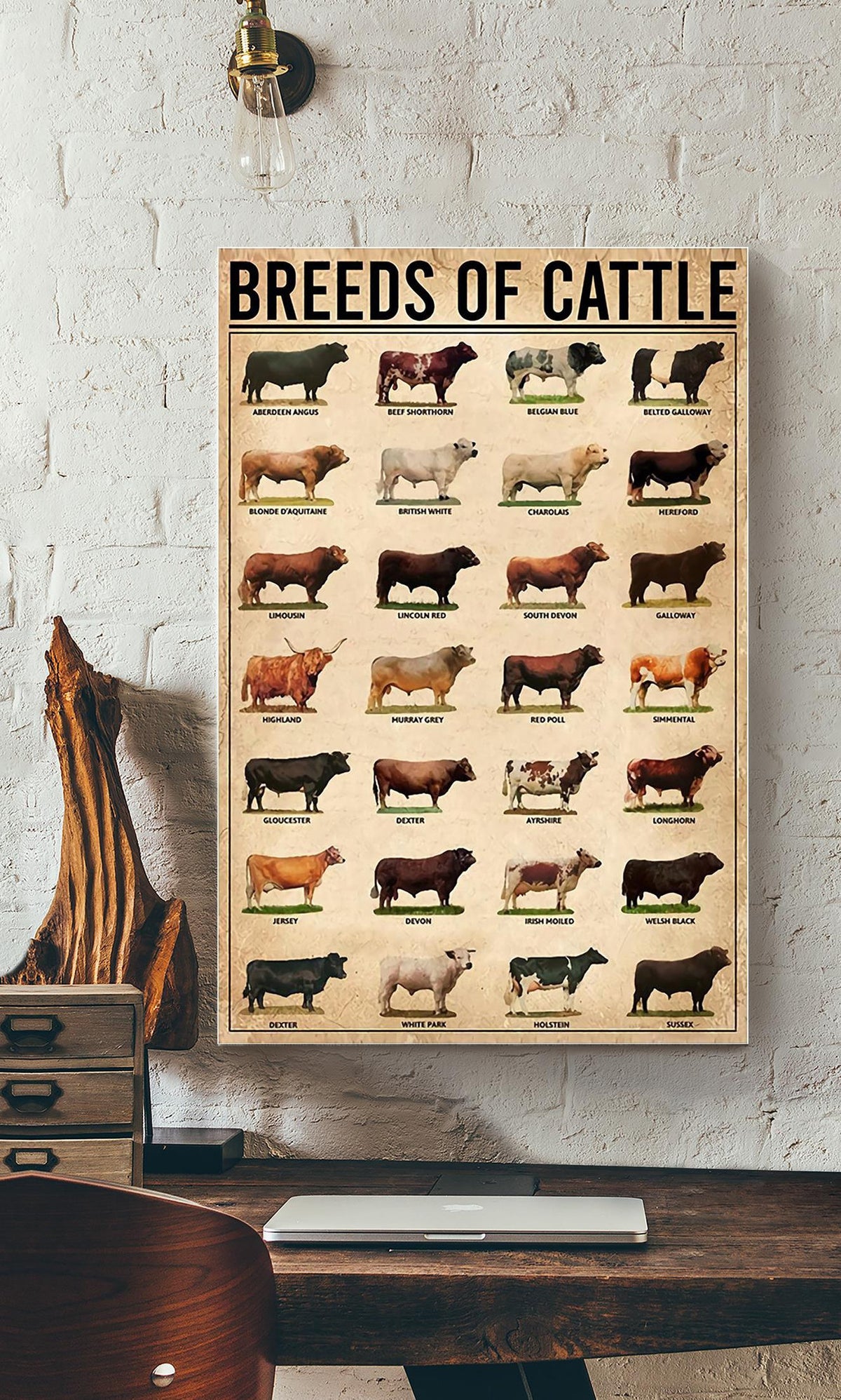 Breeds Of Cattle Animal Knowledge For Homeschool Nusery Kids Bedroom Decor Canvas