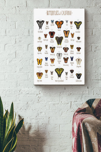 Butterfly Of California Poster - Home Decor Wall Art - Gift For Butterfly Lover, Insect Collector Canvas Gallery Wrapped Canvas Framed Gift Idea Framed Prints, Canvas