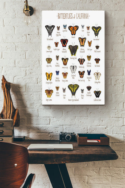 Butterfly Of California Poster - Home Decor Wall Art - Gift For Butterfly Lover, Insect Collector Canvas Gallery Wrapped Canvas Framed Gift Idea Framed Prints, Canvas