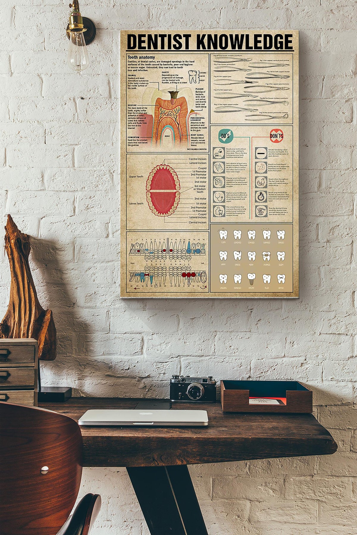 Dentist Knowledge Things You Need To Know About Dentist Tooth Anatomy Poster Canvas Gallery Wrapped Canvas Framed Gift Idea