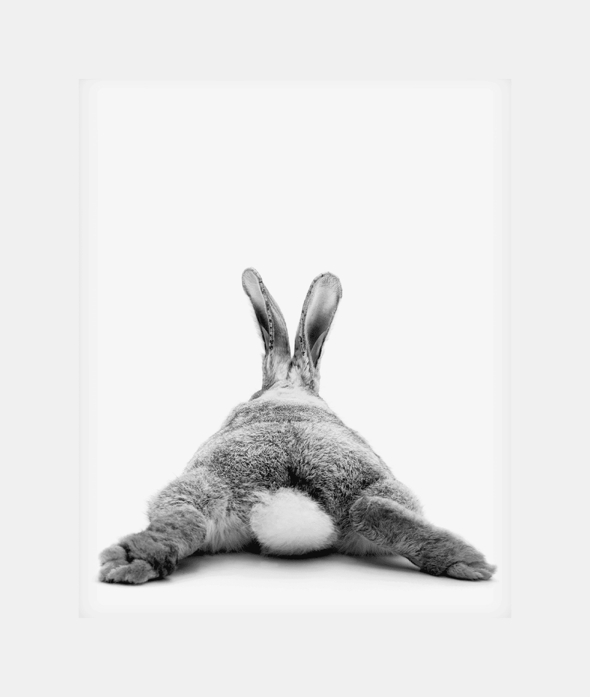 Cute Rabbit Butt Funny Gift For Friends Birthday Houswarming Canvas