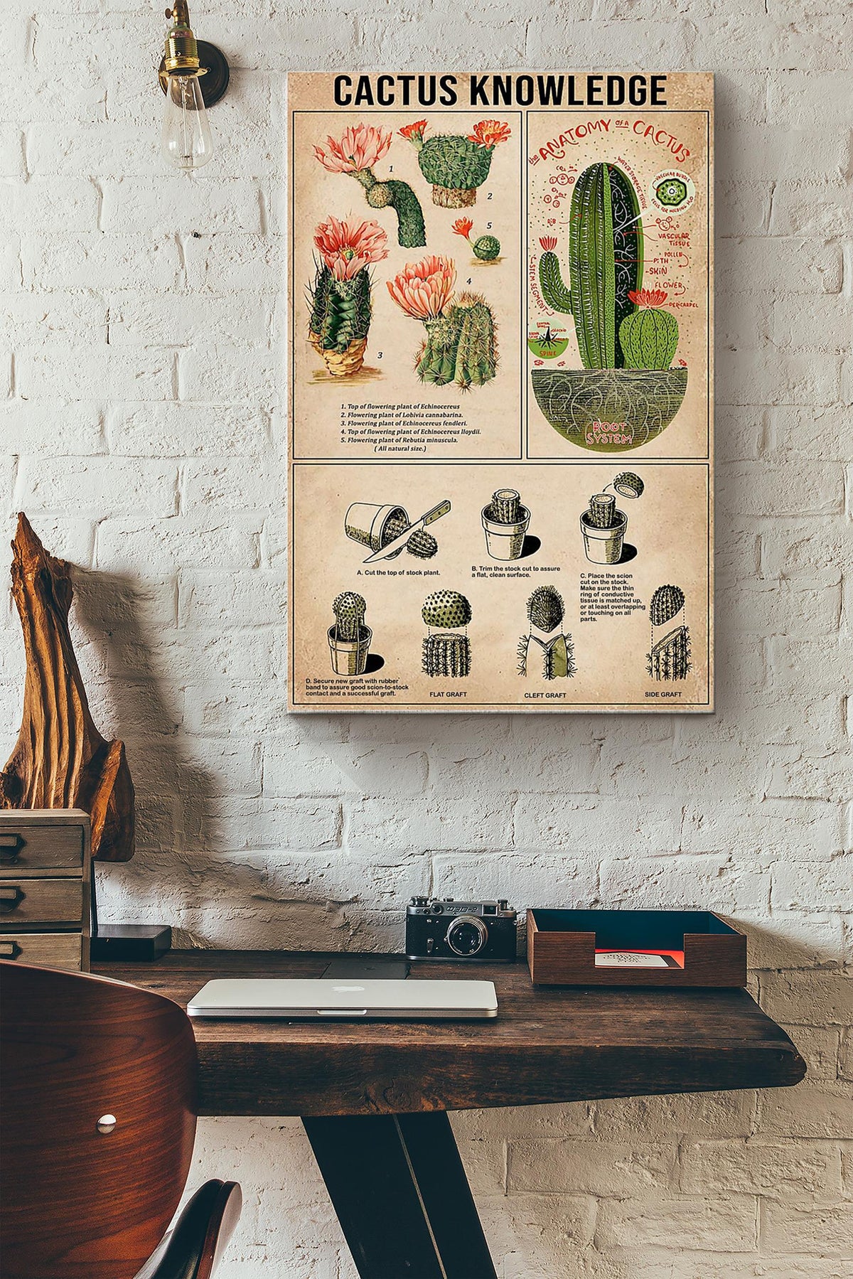 Catus Knowledge Things You Need To Know About Catus Poster Canvas Gallery Wrapped Canvas Framed Gift Idea