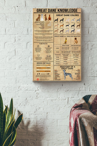 Great Dane Knowledge Basic Information Poster - Animal Knowledfe Wall Art - Gift For Dog Lover Great Dane Lover Dog Owner Canvas Gallery Wrapped Canvas Framed Gift Idea Framed Prints, Canvas