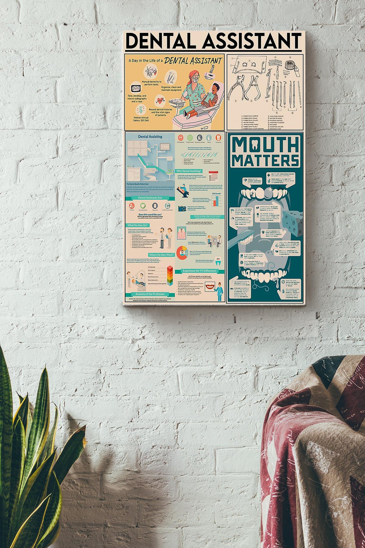 Dental Assistant Teeth Inforgraphic Dentist Poster Canvas Gallery Wrapped Canvas Framed Gift Idea