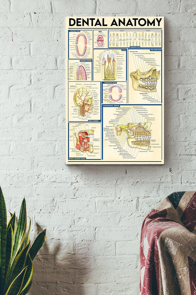 Dental Anatomy Dentist Poster Canvas Gallery Wrapped Canvas Framed Gift Idea