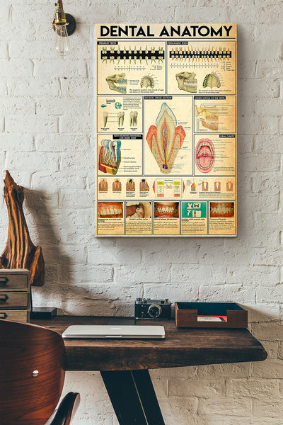 Dental Anatomy Inforgraphy Dentist Poster Canvas Gallery Wrapped Canvas Framed Gift Idea
