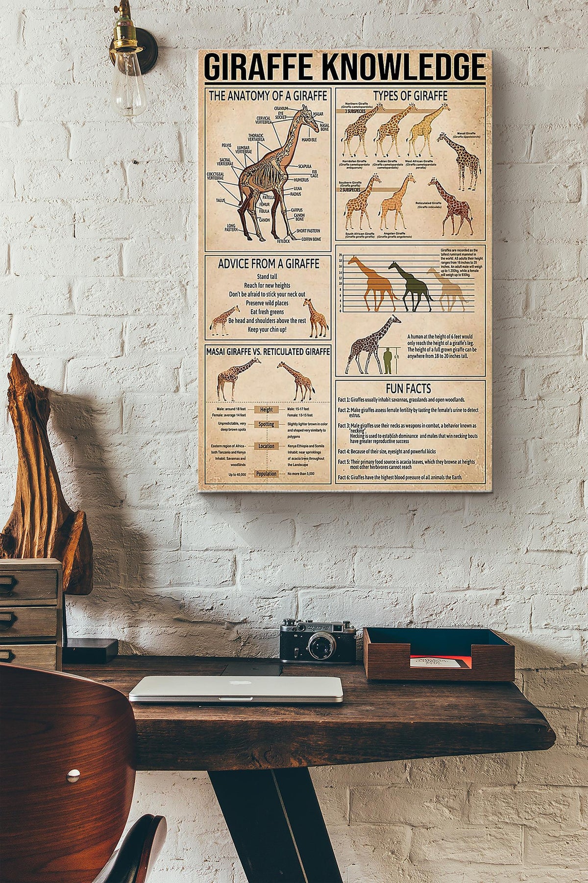 Giraffe Knowledge Things You Need To Know About Giraffe Poster Canvas Gallery Wrapped Canvas Framed Gift Idea