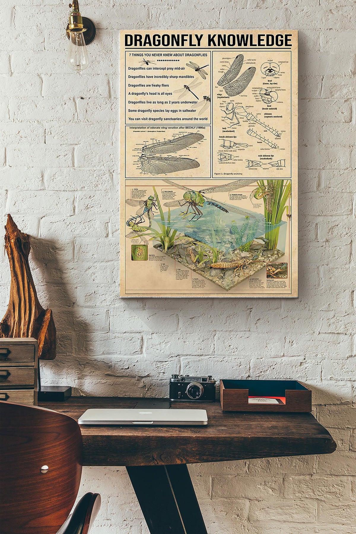 Dragonfly Knowledge Things You Need To Know About Dragonfly With Art Poster Canvas Gallery Wrapped Canvas Framed Gift Idea