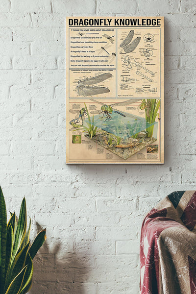 Dragonfly Knowledge Things You Need To Know About Dragonfly With Art Poster Canvas Gallery Wrapped Canvas Framed Gift Idea