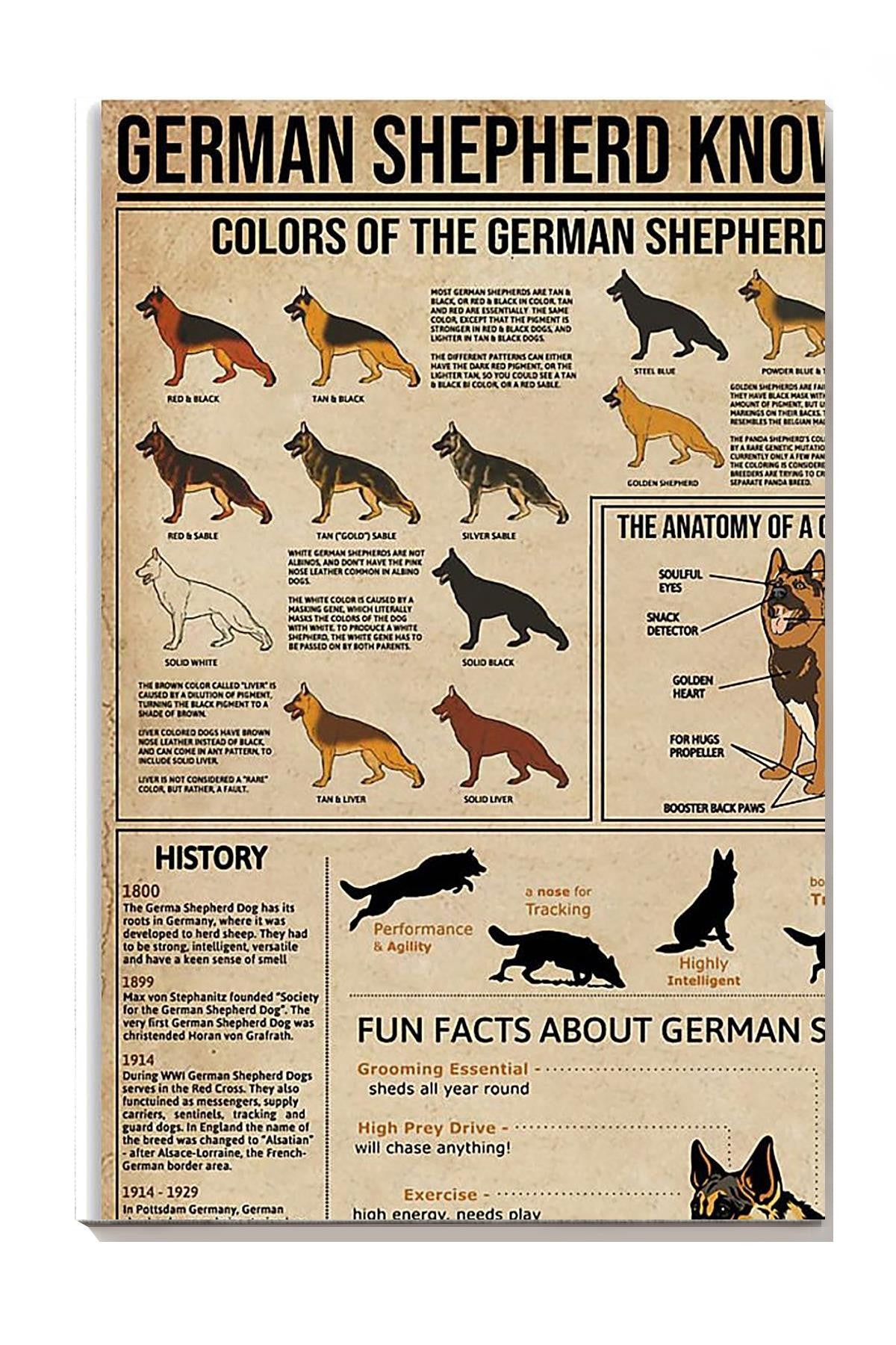 German Shepherd Facts Animal Knowledge For Homeschool Nusery Kids Bedroom Decor Canvas