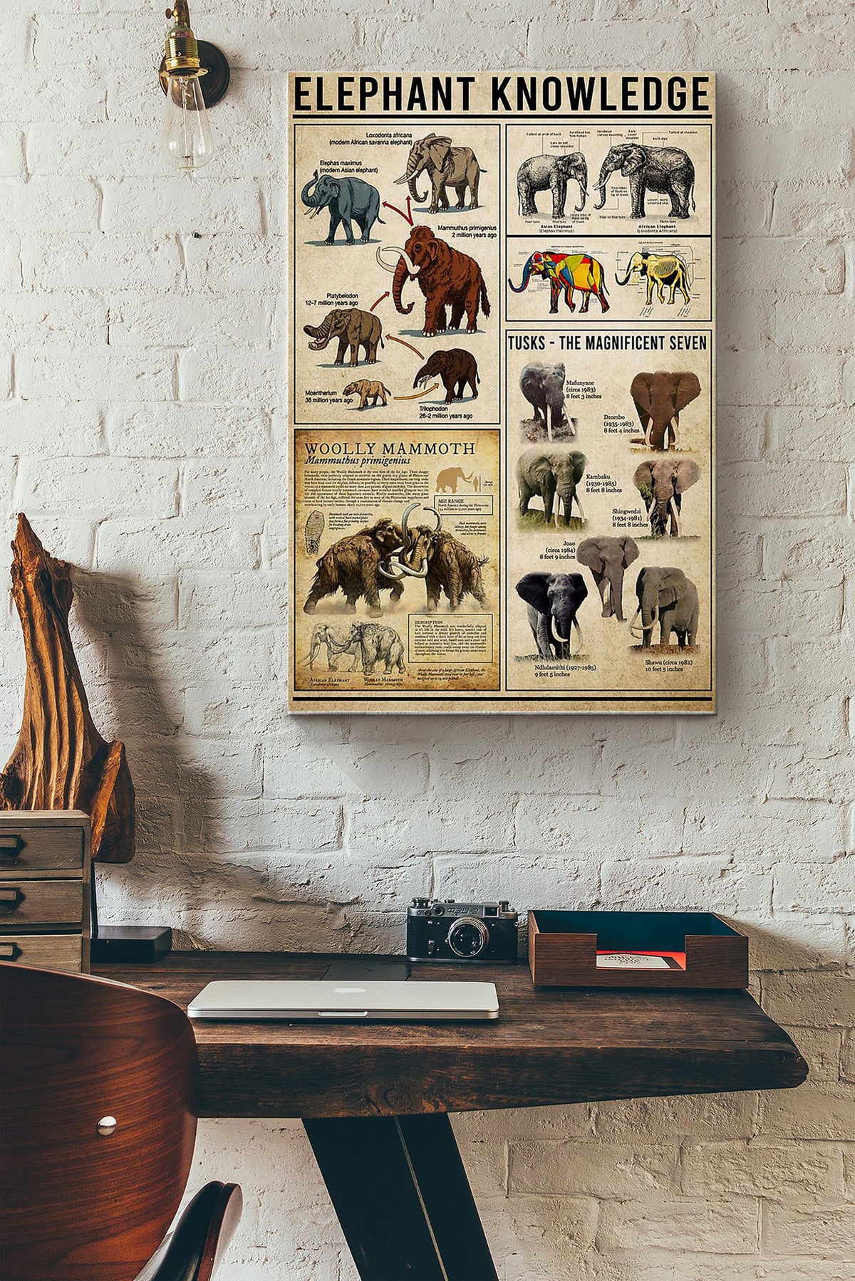 Elephant Knowledge Things You Need To Know About Elephant Poster Canvas Gallery Wrapped Canvas Framed Gift Idea