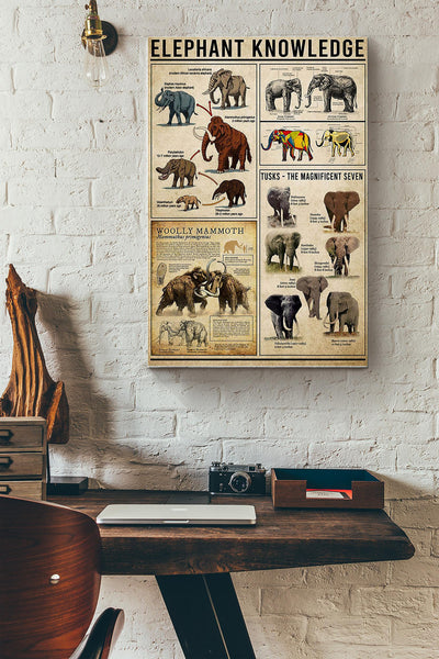 Elephant Knowledge Things You Need To Know About Elephant Poster Canvas Gallery Wrapped Canvas Framed Gift Idea