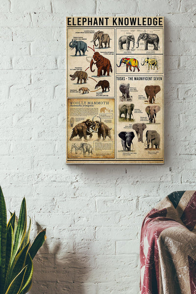 Elephant Knowledge Things You Need To Know About Elephant Poster Canvas Gallery Wrapped Canvas Framed Gift Idea