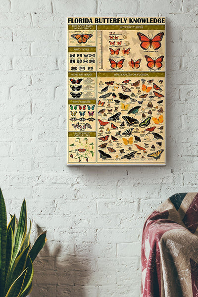 Florida Butterfly Knowledge Poster Canvas Gallery Wrapped Canvas Framed Gift Idea