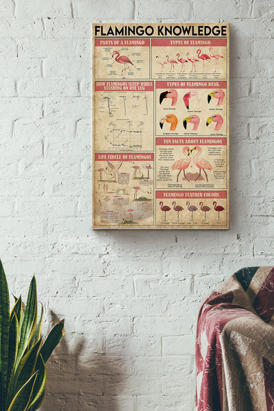 Famingo Knowledge Things You Need To Know About Flamingo Pink Poster Canvas Gallery Wrapped Canvas Framed Gift Idea